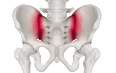 A szakroiliakális ízület mechanikája – a medence stabilitásának neuromuszkuláris modellje